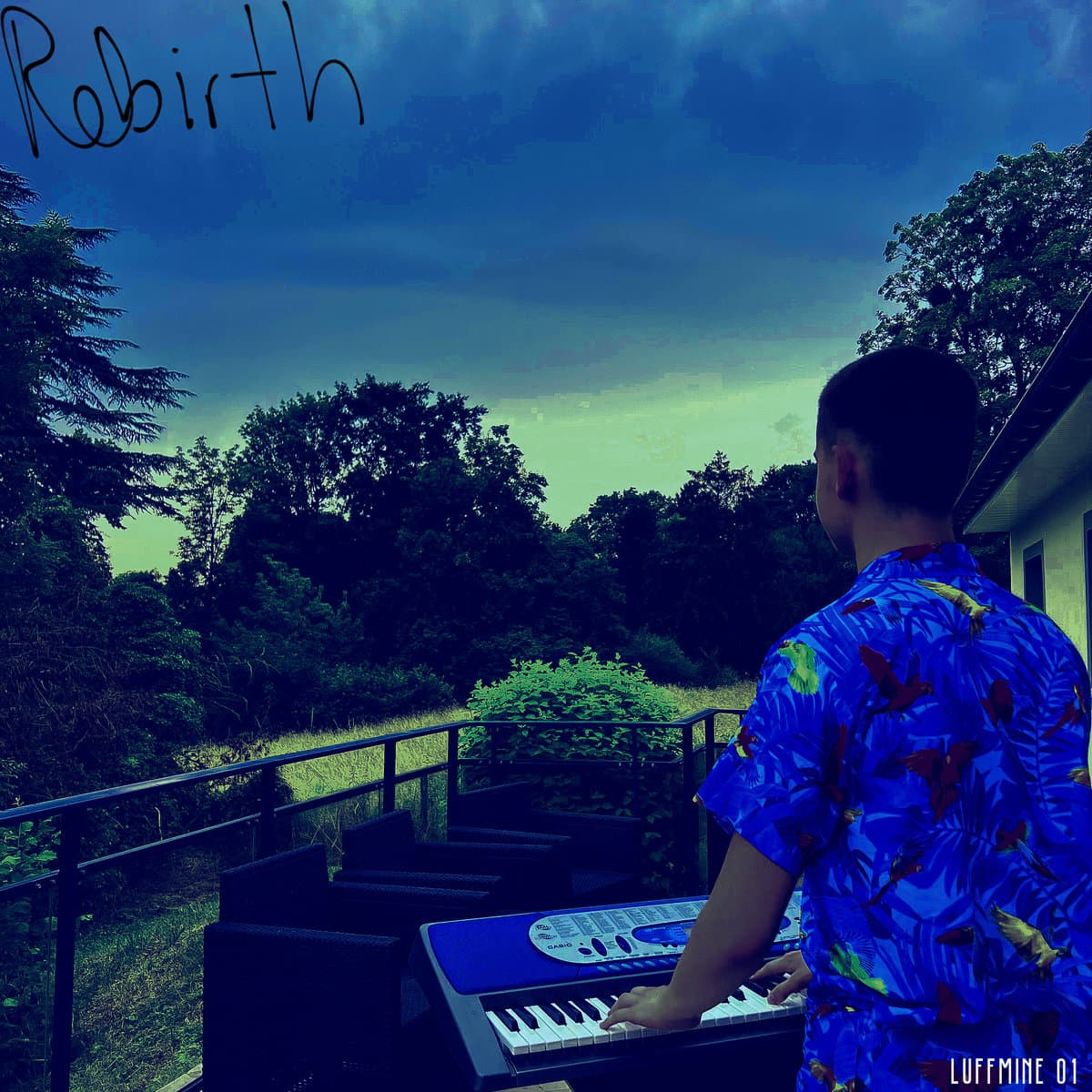 Rebirth