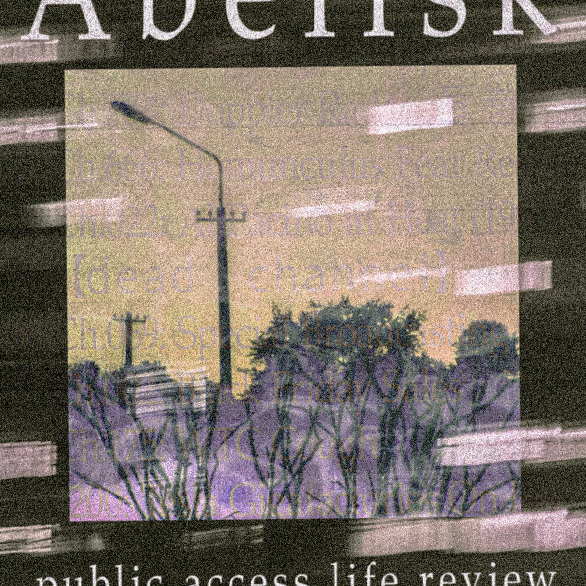 Public Access Life Review