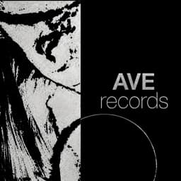 AVE RECORDS