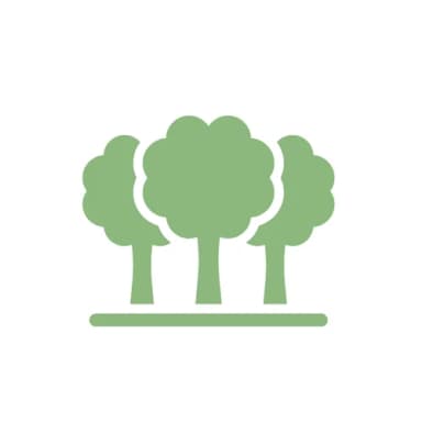 Forests of England profile