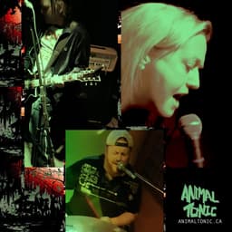 Animal Tonic