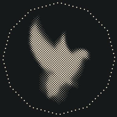 Passed Recordings logo