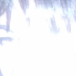 Flare of Transcendence