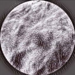Samplehead