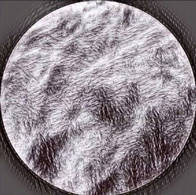 Samplehead profile