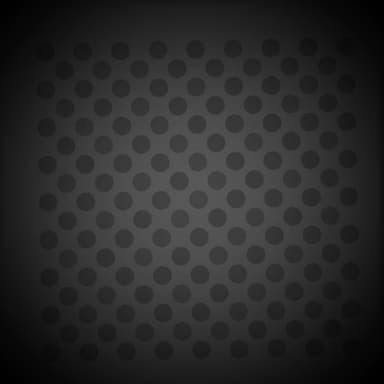 vacant possession records logo