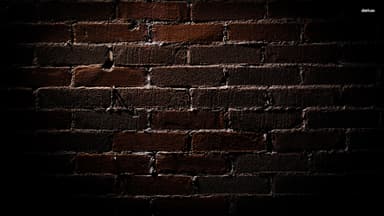 Lorem Ipsum profile