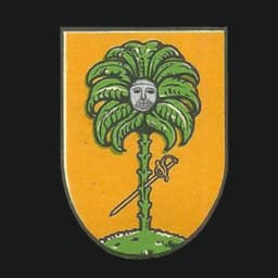 Anatomy of the Heads