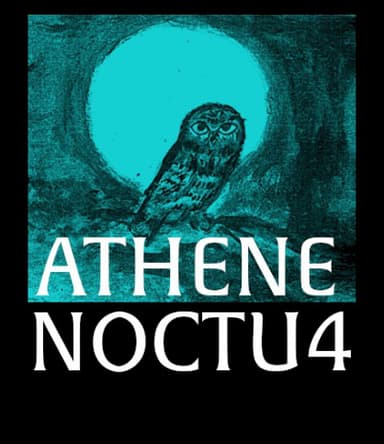 Athene Noctu4 profile