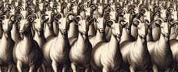 500 Goats