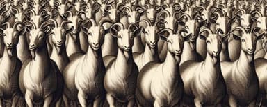500 Goats profile