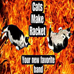 Cats Make Racket