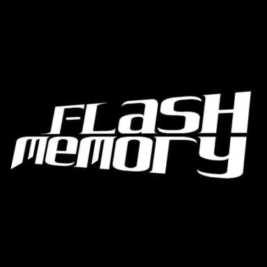 Flash Memory profile