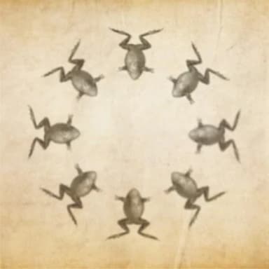 Circle of Frogs profile