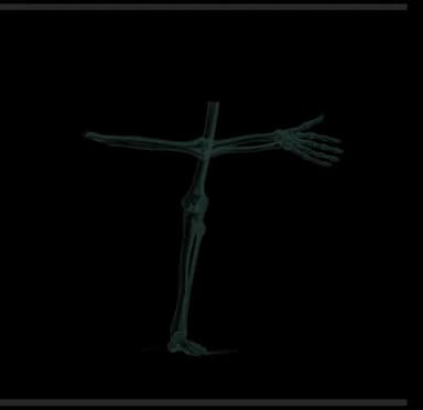 Near Death profile