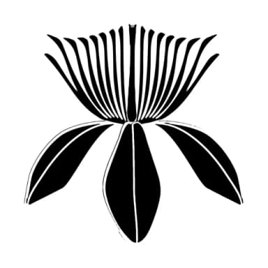 Biodiversità Records logo