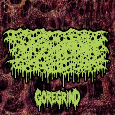 exnxsxpxpxtxlx profile