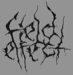 Field Effect