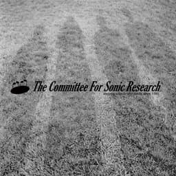 The Committee For Sonic Research