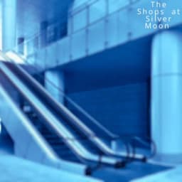 The Shops at Silver Moon