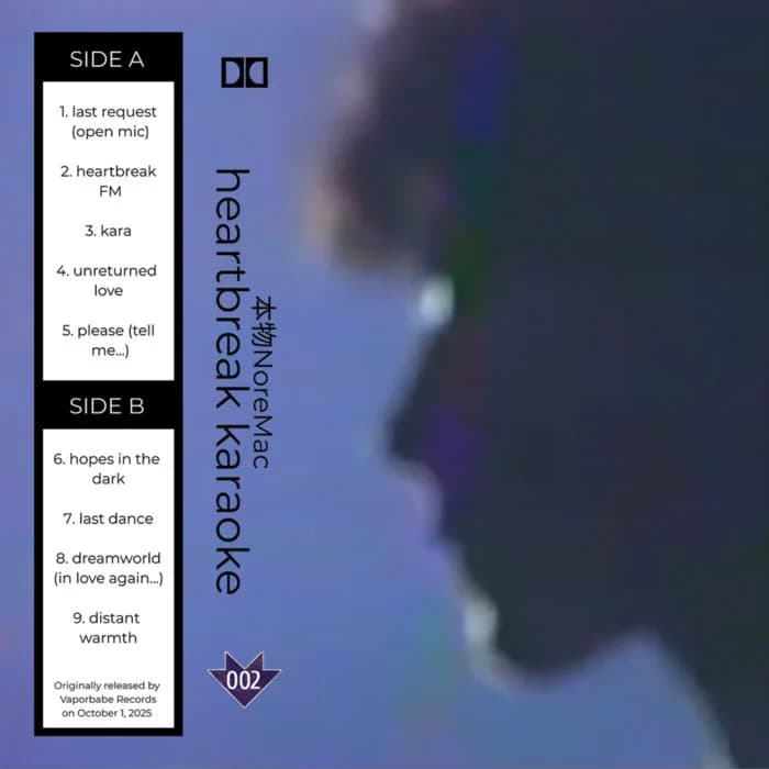heartbreak karaoke