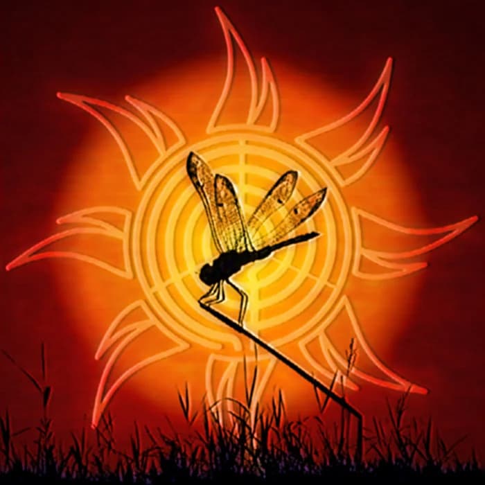 My Dragonfly Day
