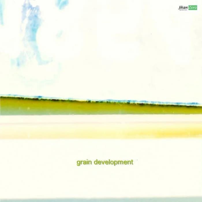 grain development
