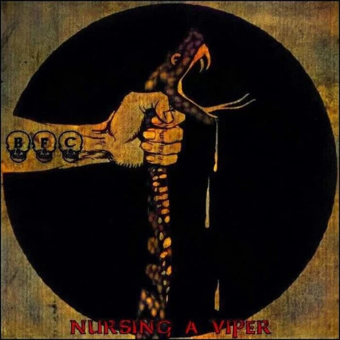 Nursing A Viper