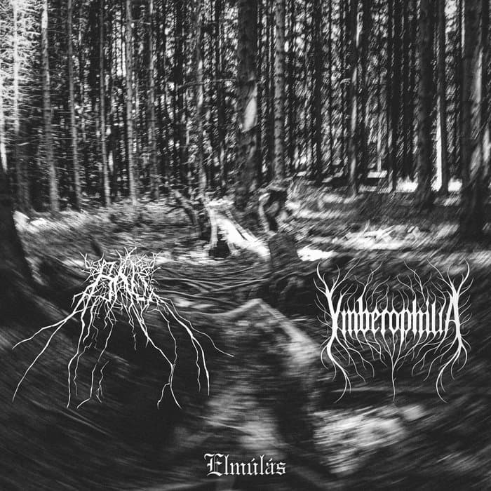Elmúlás (split album with Ymberophilia)