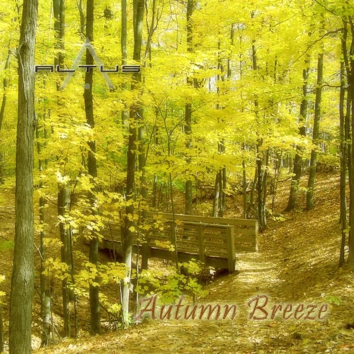 Autumn Breeze