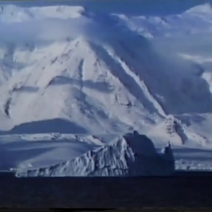 Forever Flourishing (Original Version)