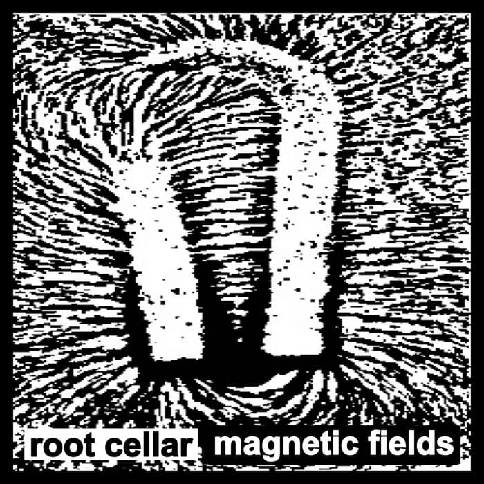 magnetic fields