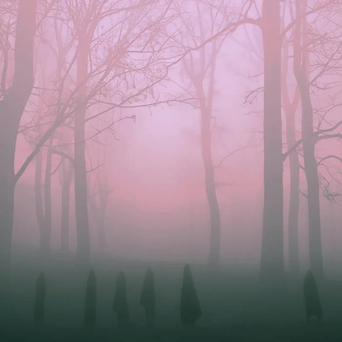We Are Fog
