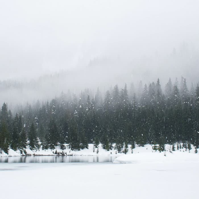 Winter Drones