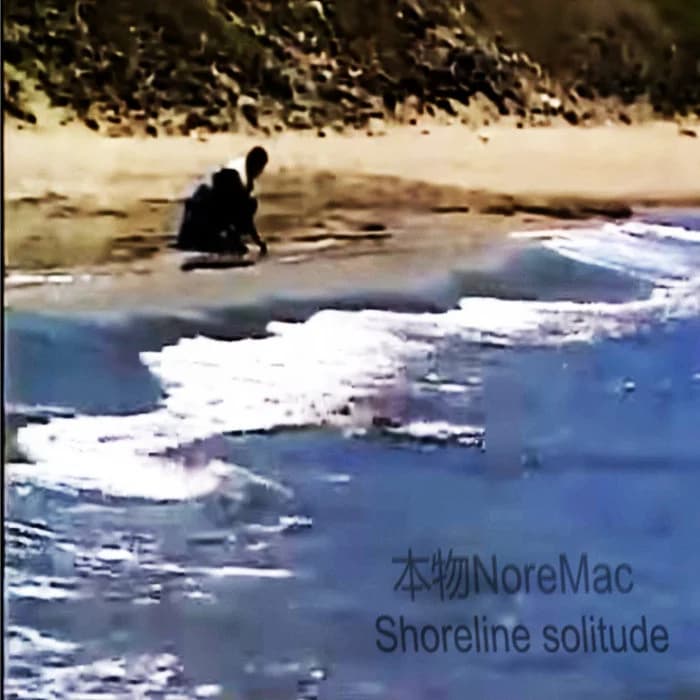 Shoreline solitude