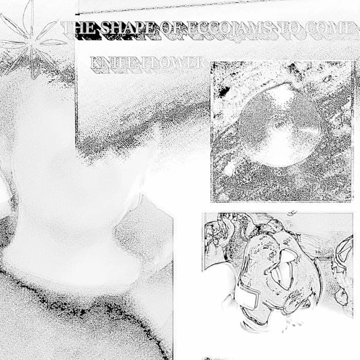 THE SHAPE OF ECCOJAMS TO COME