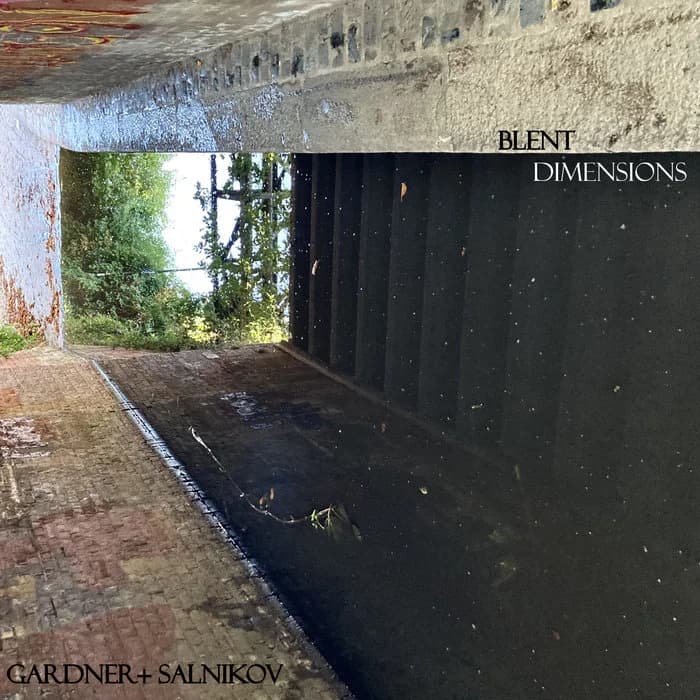 Blent Dimensions