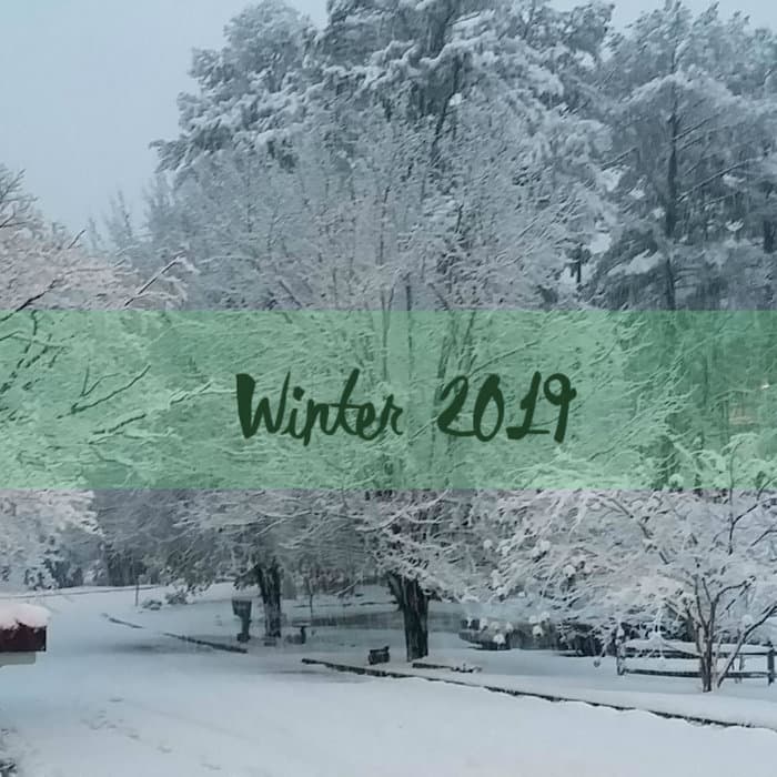 Winter 2019