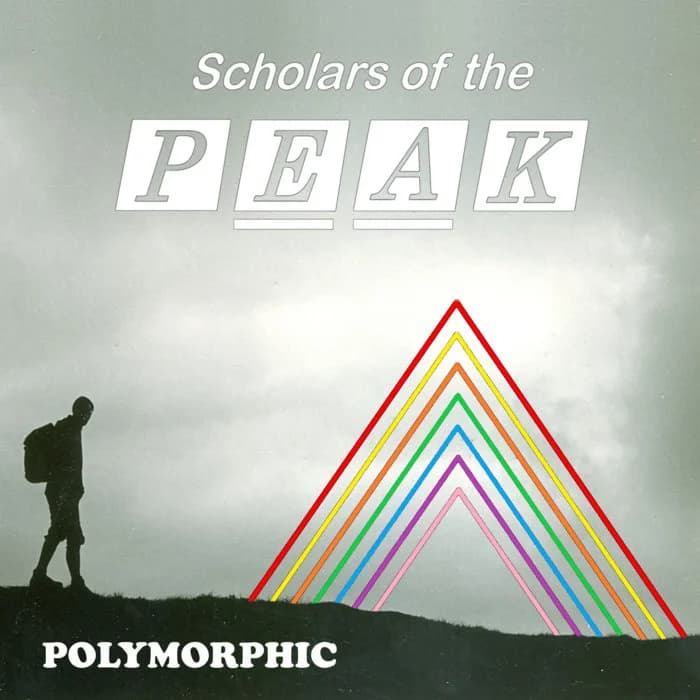 Polymorphic
