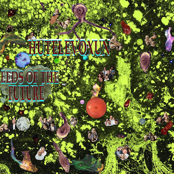Seeds Of The Future