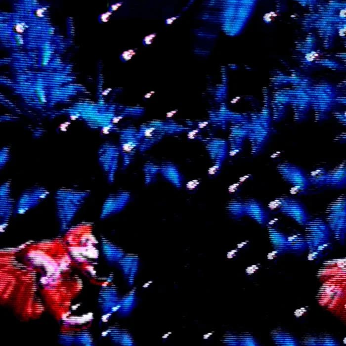 into the depths i must go