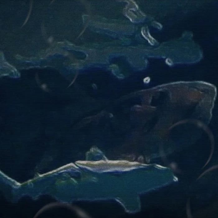 𝘰𝘶𝘵 𝘰𝘧 𝘰𝘹𝘺𝘨𝘦𝘯