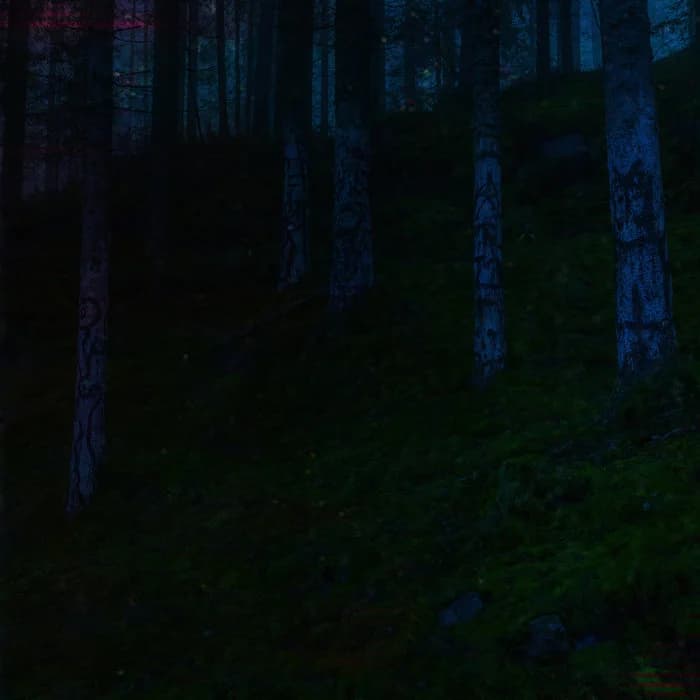 Rune