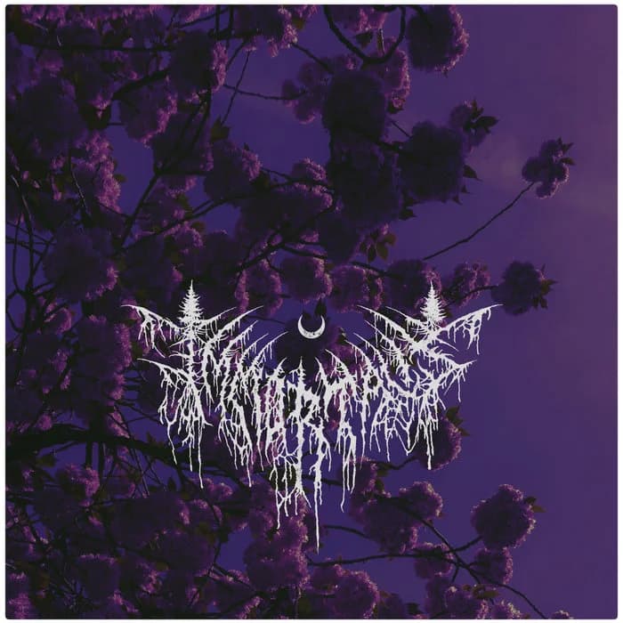 Probitorium (Instrumental Version)