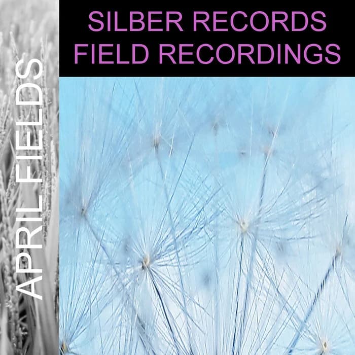 April Fields