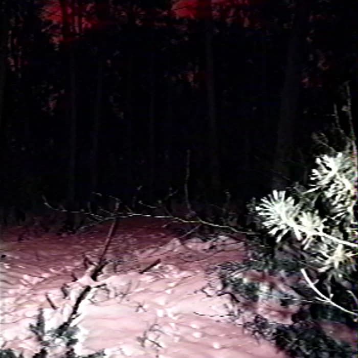 血腥之夜