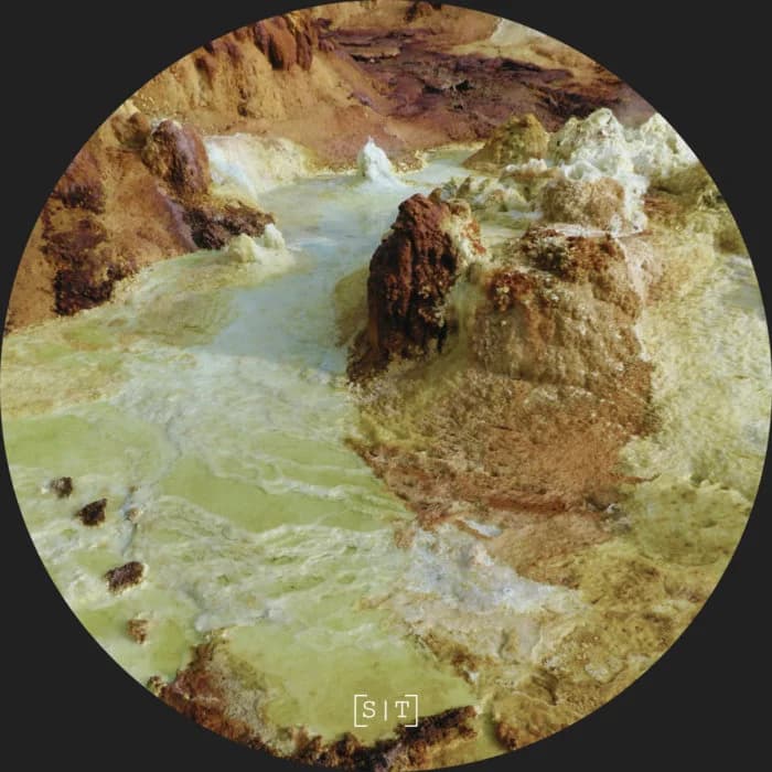 Yunze Ou - Forms of Nature (ST086)