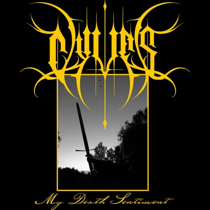 My Death Sentiment