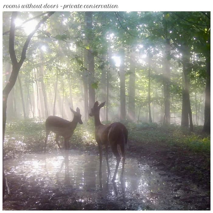 private conservation