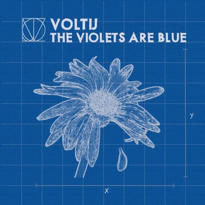 The Violets Are Blue